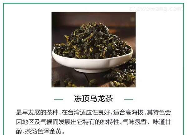 一篇文章读懂乌龙茶产地，品种以及分类（台湾篇）