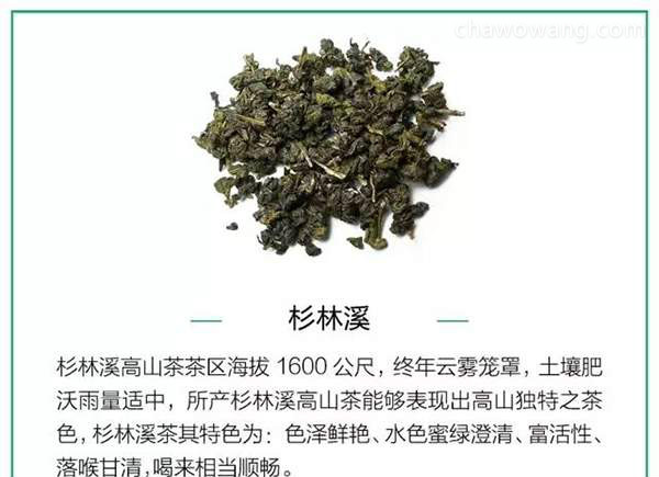 一篇文章读懂乌龙茶产地，品种以及分类（台湾篇）