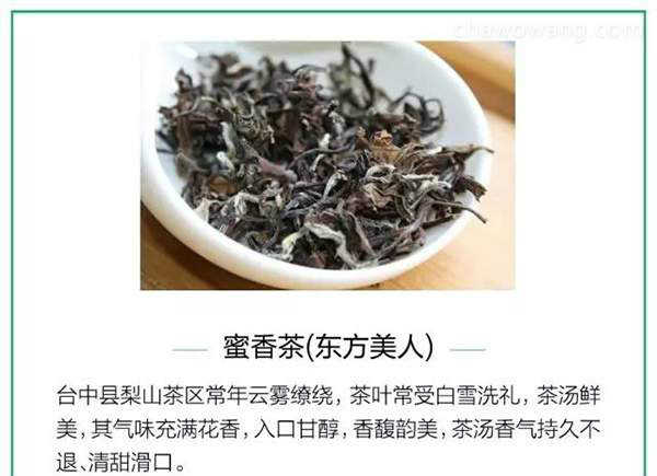 一篇文章读懂乌龙茶产地，品种以及分类（台湾篇）