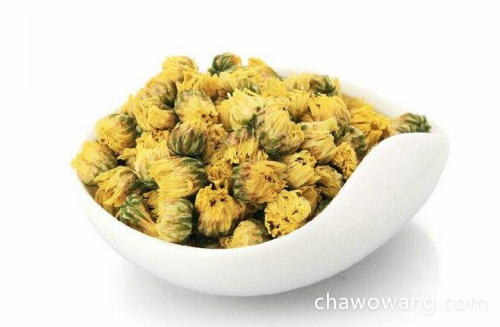 野菊花茶的功效与作用及禁忌是什么 野菊花的好处和禁忌