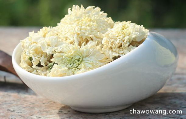 喝什么菊花茶好 菊花的种类 什么菊花泡茶好