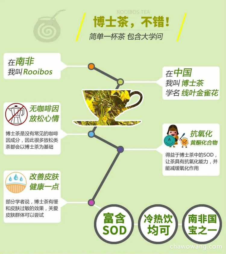 博士茶的功效与作用禁忌