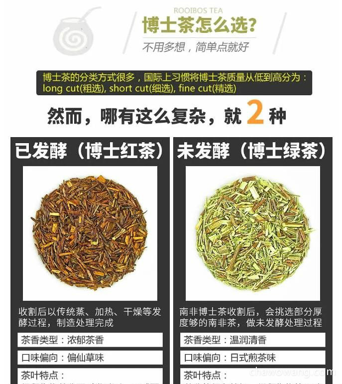 博士茶的功效与作用禁忌