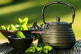 绿茶和桑叶茶具有稳定血糖的作用