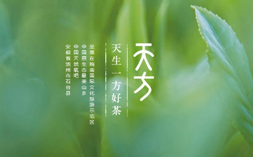 天方茶业怎么样