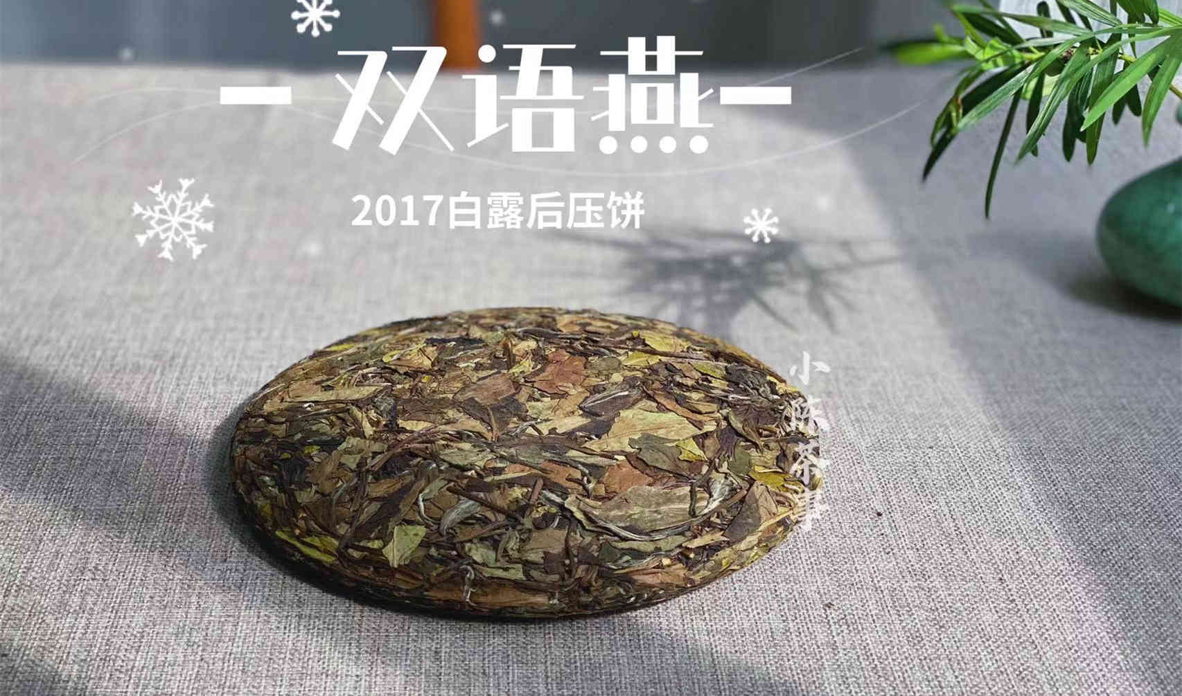 大品牌做年末促销，老白茶5饼288元，你觉得靠谱吗？答案来了