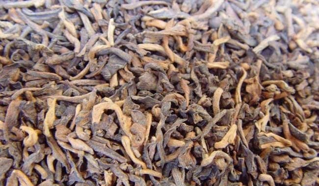 普洱生茶“前发酵”是否会影响后期的转化？