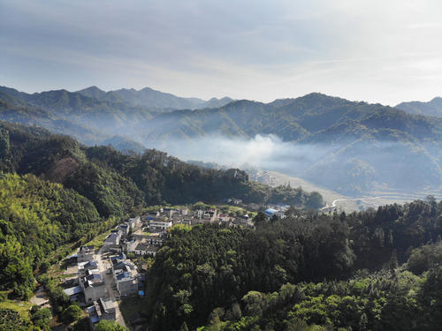 祁门红茶产地及价格