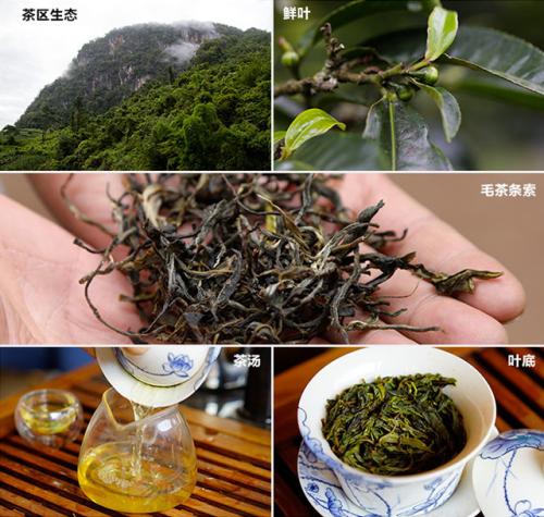 高性价比普洱茶推荐