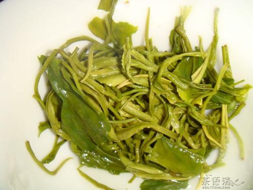 崂山绿茶作用